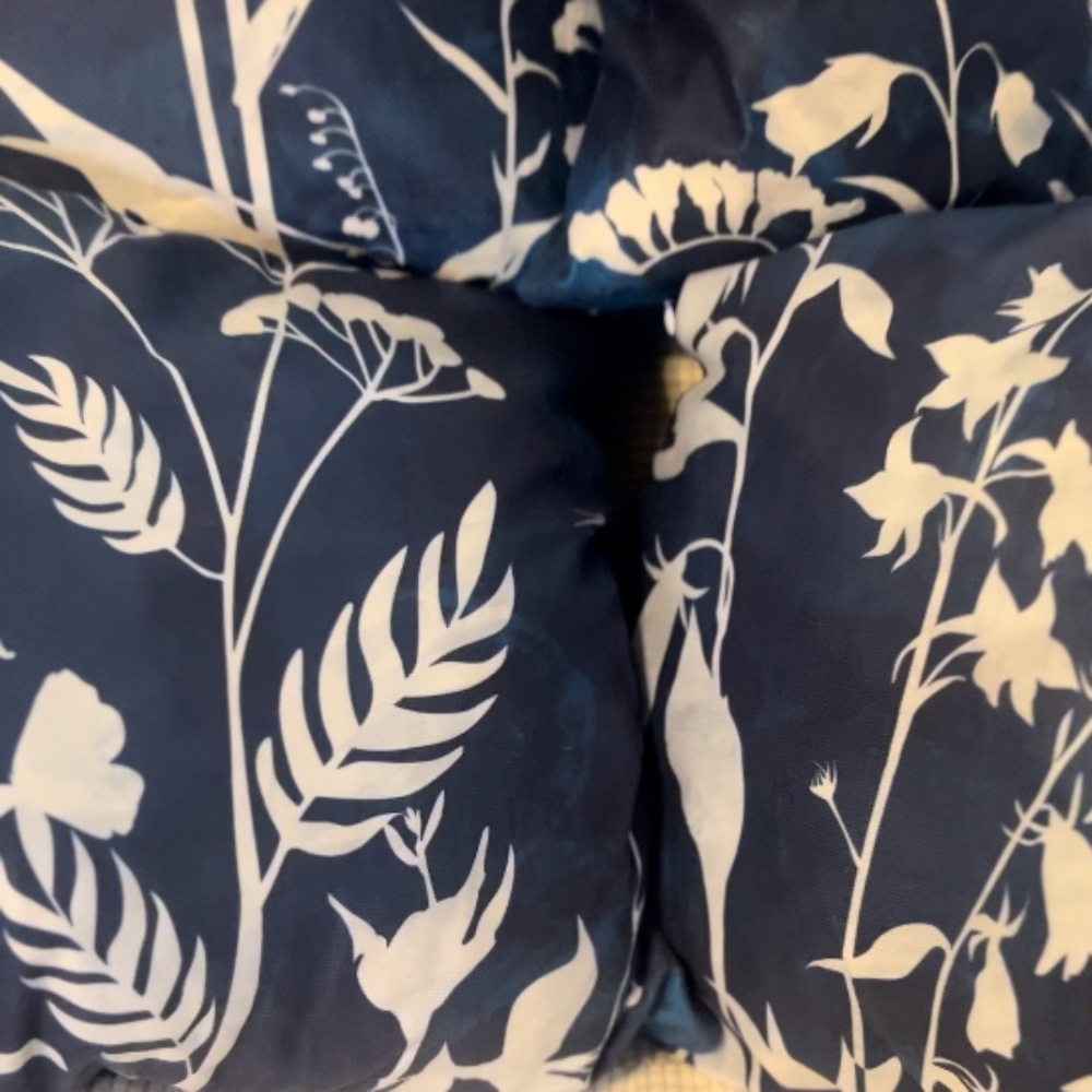 Elegant, Fleece Decorative Pillows Set Of 4